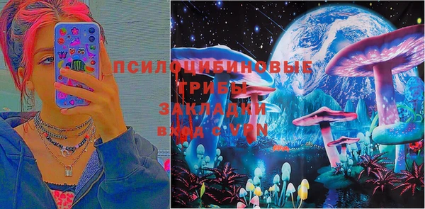 крисы Белокуриха